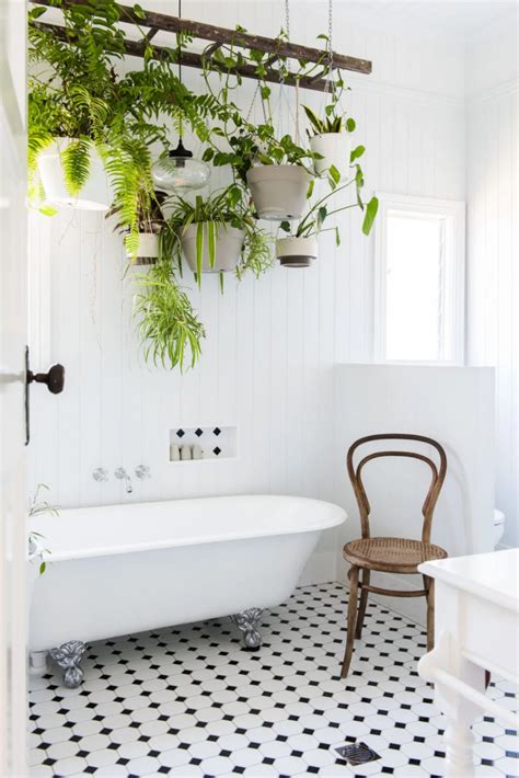 浴室 植物
